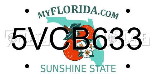 5VCB633 Florida License Plate