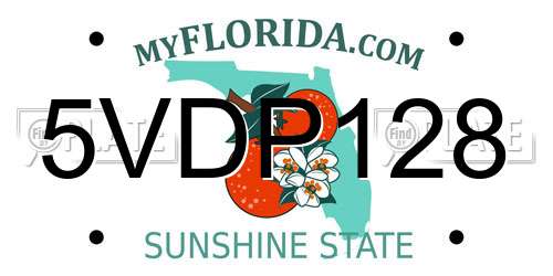 5VDP128 Florida License Plate