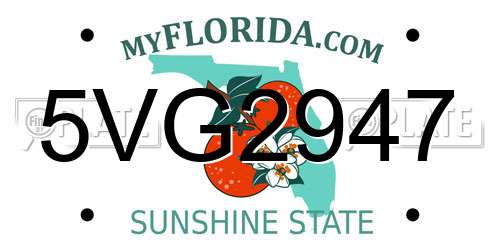 5VG2947 Florida License Plate