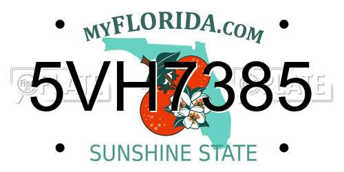 5VH7385 Florida License Plate