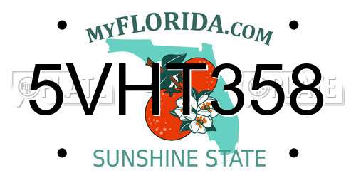 5VHT358 Florida License Plate