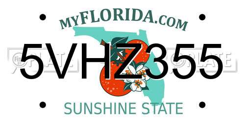 5VHZ355 Florida License Plate