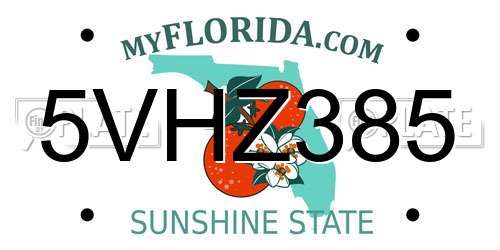 5VHZ385 Florida License Plate