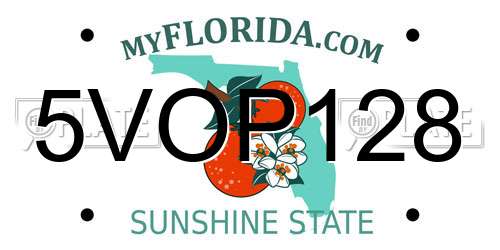 5VOP128 Florida License Plate