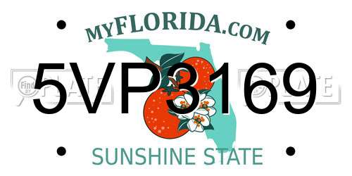 5VP3169 Florida License Plate