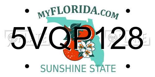 5VQP128 Florida License Plate