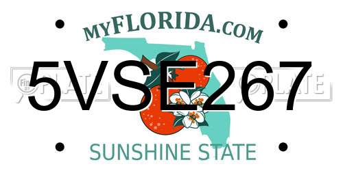 5VSE267 Florida License Plate