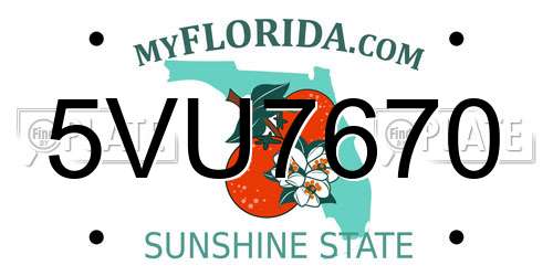 5VU7670 Florida License Plate
