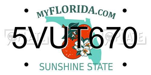 5VUT670 Florida License Plate