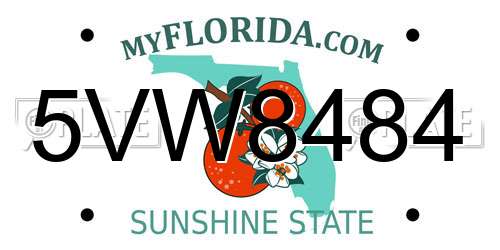 5VW8484 Florida License Plate