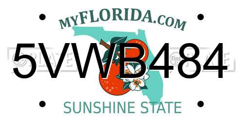 5VWB484 Florida License Plate