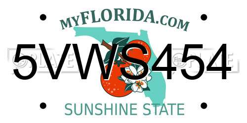 5VWS454 Florida License Plate