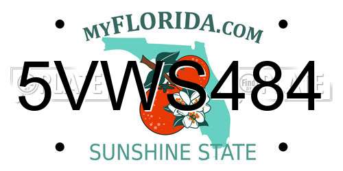 5VWS484 Florida License Plate