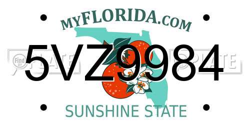 5VZ9984 Florida License Plate