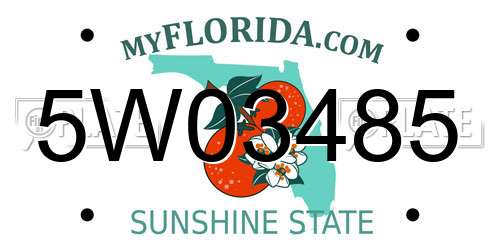 5W03485 Florida License Plate