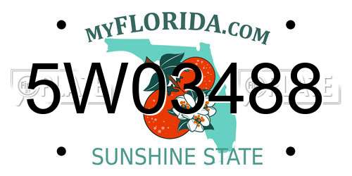 5W03488 Florida License Plate