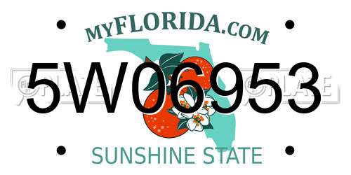 5W06953 Florida License Plate
