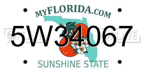 5W34067 Florida License Plate