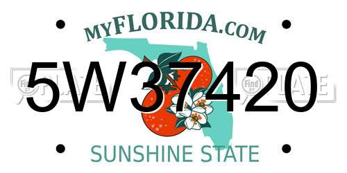 5W37420 Florida License Plate