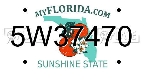 5W37470 Florida License Plate