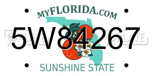 5W84267 Florida License Plate