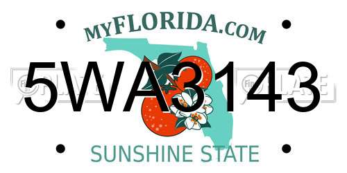 5WA3143 Florida License Plate