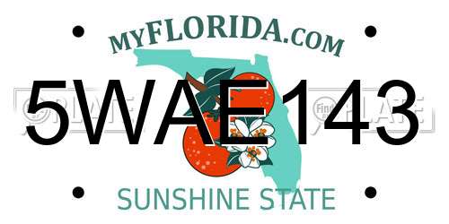 5WAE143 Florida License Plate