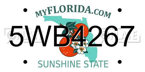 5WB4267 Florida License Plate