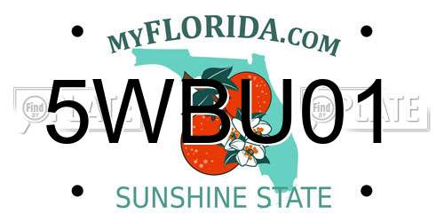 5WBU01 Florida License Plate