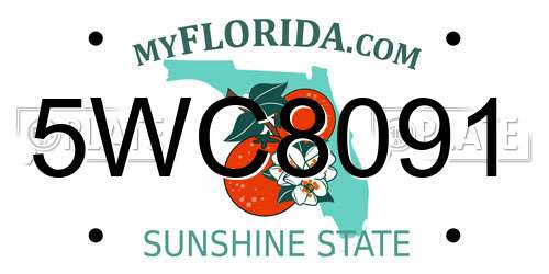 5WC8091 Florida License Plate