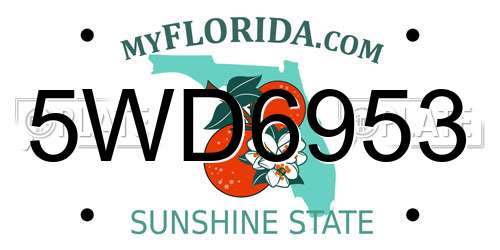 5WD6953 Florida License Plate