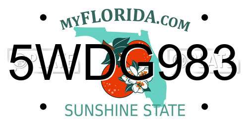 5WDG983 Florida License Plate