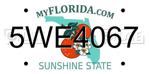 5WE4067 Florida License Plate