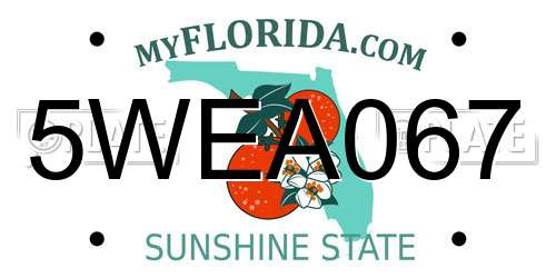 5WEA067 Florida License Plate