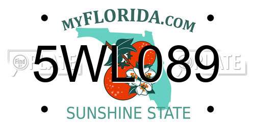 5WL089 Florida License Plate