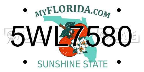 5WL7580 Florida License Plate