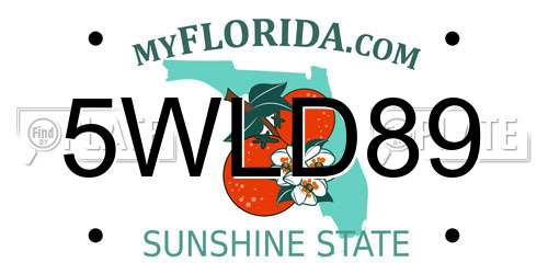 5WLD89 Florida License Plate