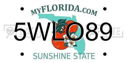 5WLO89 Florida License Plate