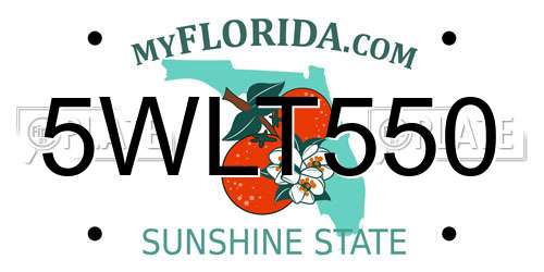 5WLT550 Florida License Plate