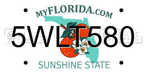 5WLT580 Florida License Plate