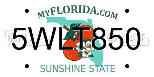 5WLT850 Florida License Plate