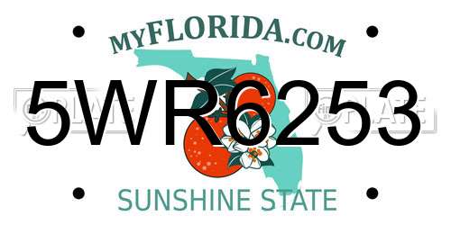 5WR6253 Florida License Plate