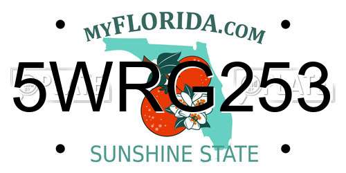 5WRG253 Florida License Plate
