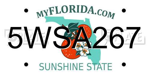5WSA267 Florida License Plate