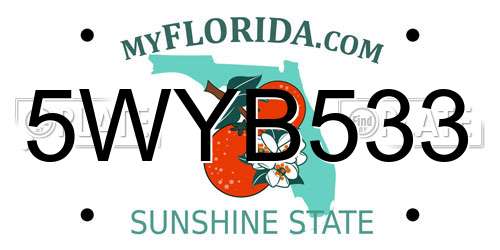 5WYB533 Florida License Plate