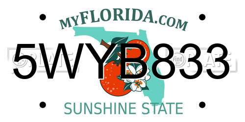5WYB833 Florida License Plate