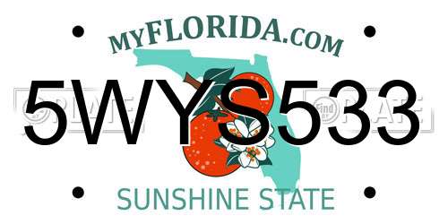 5WYS533 Florida License Plate