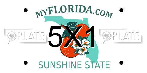 5X1 Florida License Plate