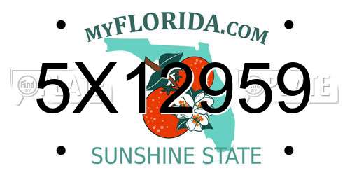 5X12959 Florida License Plate