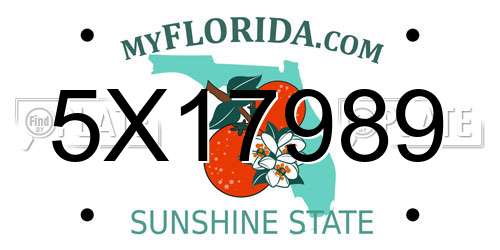 5X17989 Florida License Plate